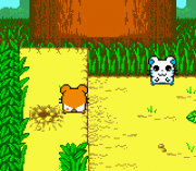 Play Hamtaro – Ham-Hams Unite! Online