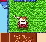 Play Tottoko Hamtaro – Tomodachi Daisakusen Dechu Online